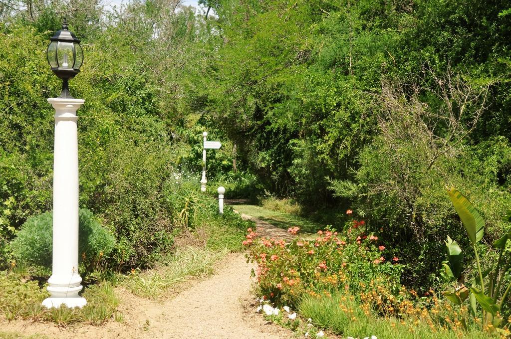 Umlambo River Lodge Kirkwood Eksteriør bilde