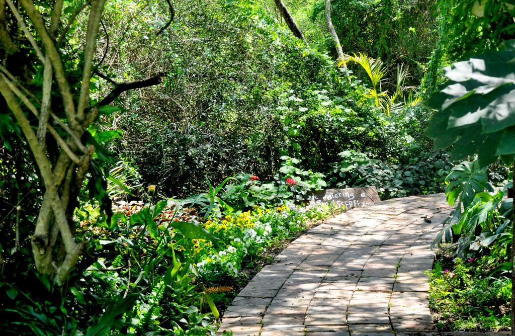 Umlambo River Lodge Kirkwood Eksteriør bilde