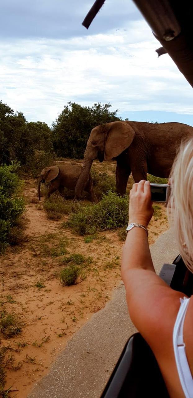 Umlambo River Lodge Kirkwood Eksteriør bilde