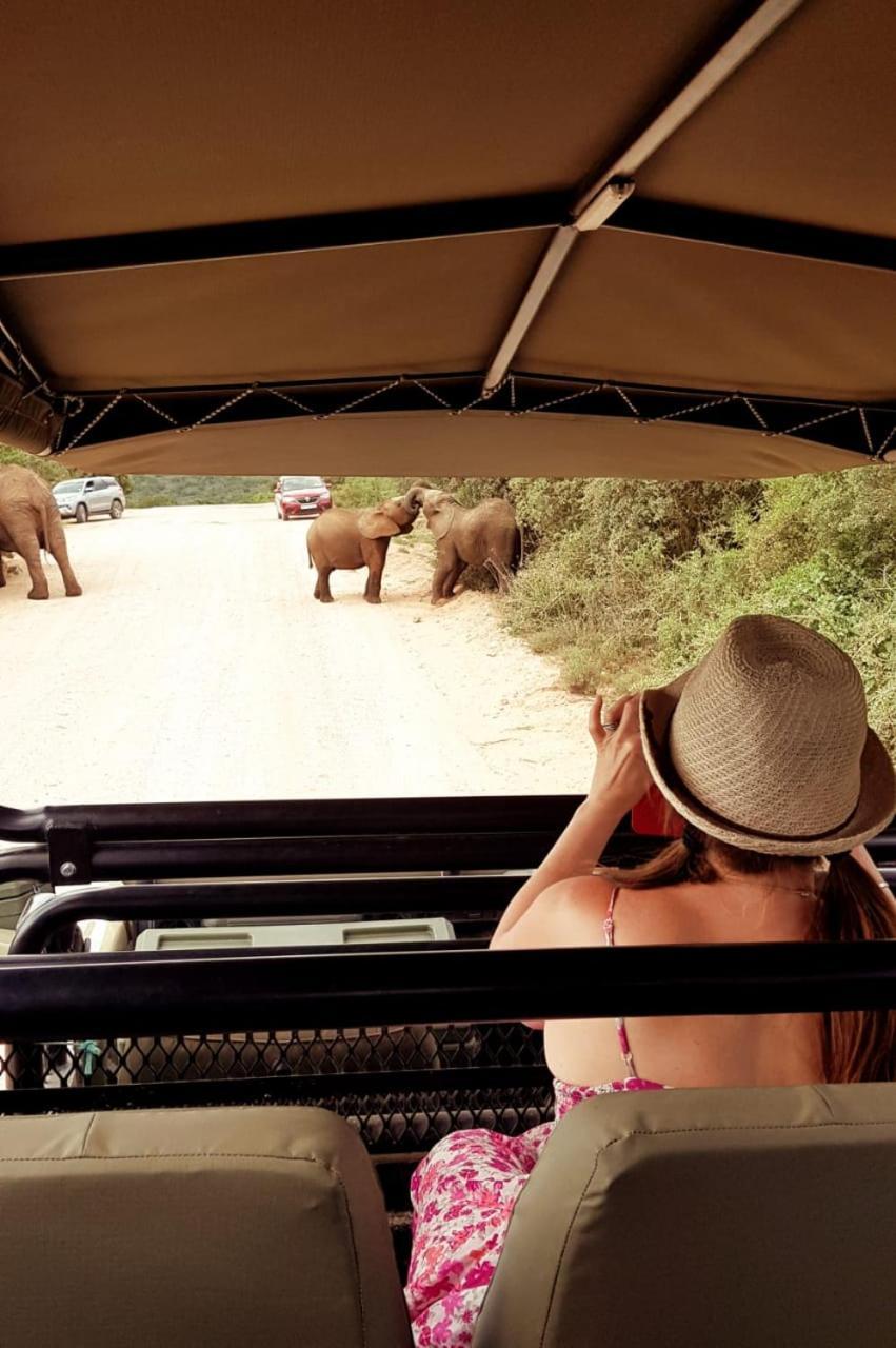 Umlambo River Lodge Kirkwood Eksteriør bilde